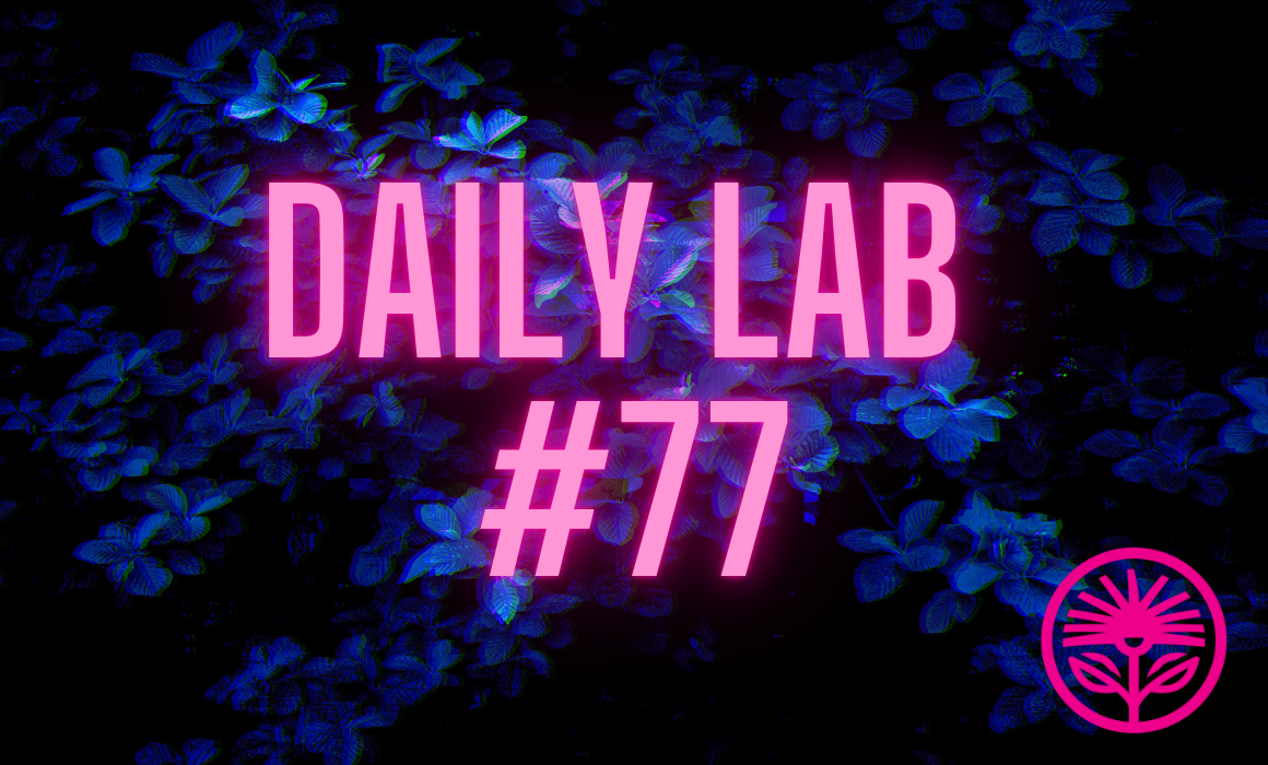 Daily Lab: How to measure success