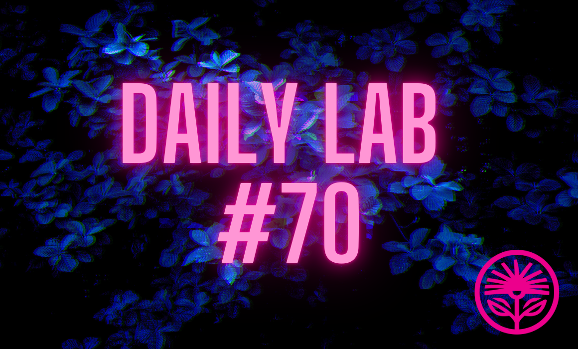 Daily Lab: The point of content