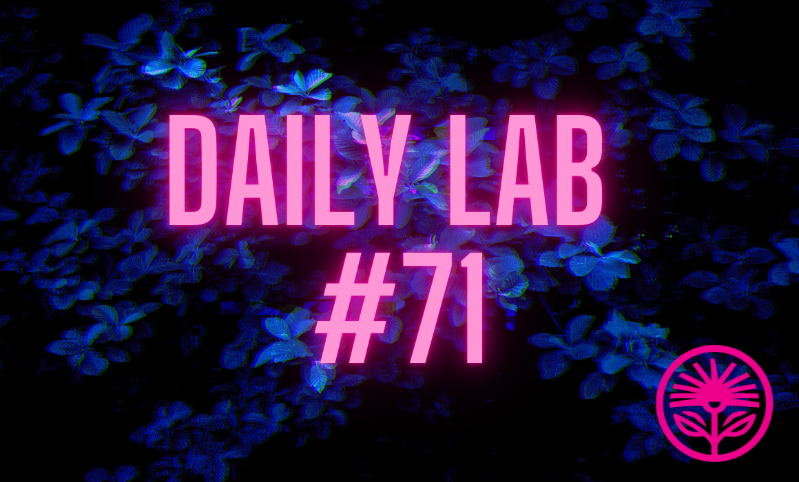 Daily Lab: Change the product, not the price