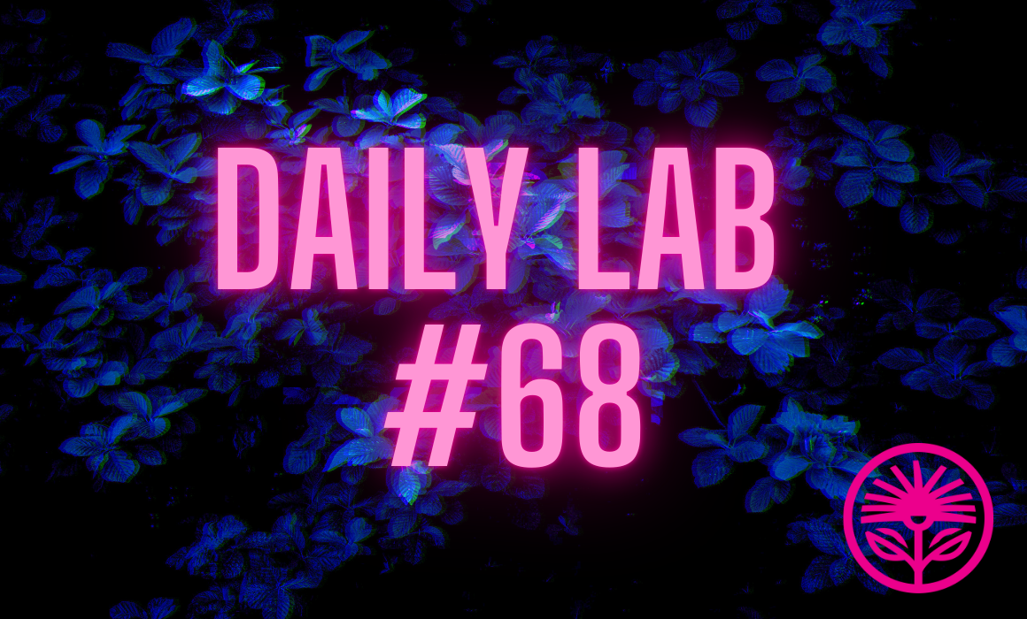 Daily Lab: “We must feel our way.”