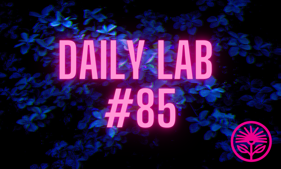 Daily Lab: But what do I post about?
