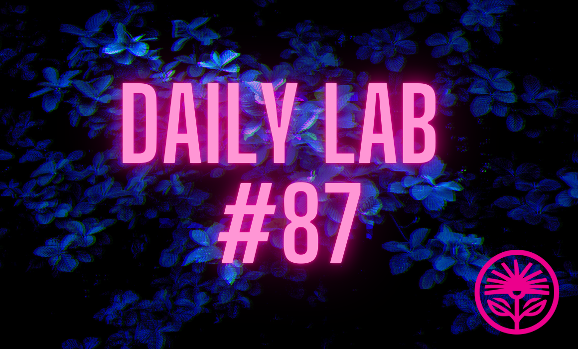 Daily Lab: No Blank Pages