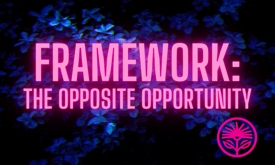 Framework: The Opposite Opportunity