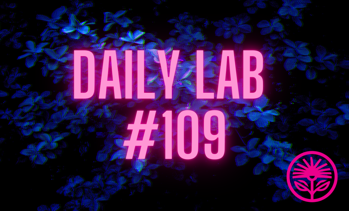 Daily Lab: A good plan for a bad outcome
