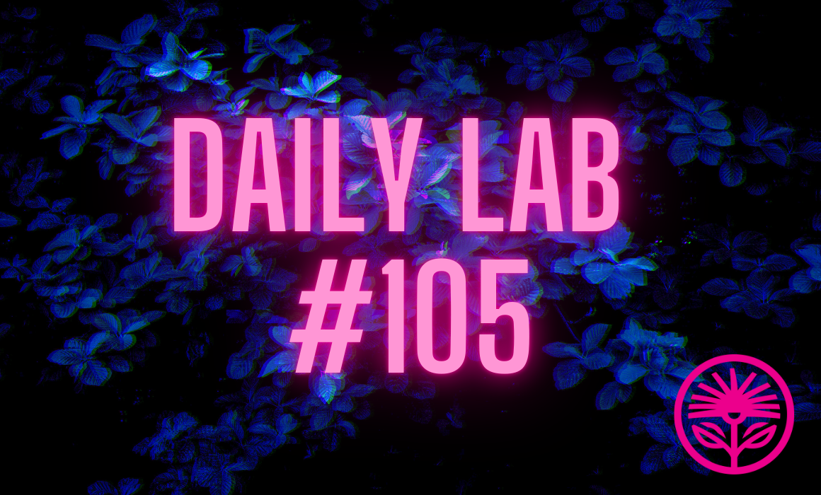 Daily Lab: One long game