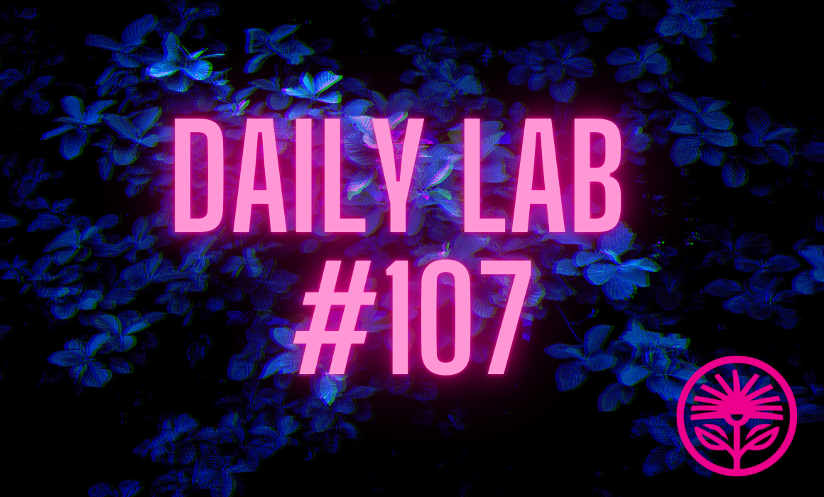 Daily Lab: “Fill the world with stuff you like.”