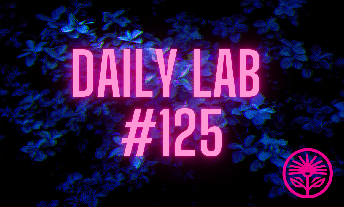 Daily Lab: See technology for yourself