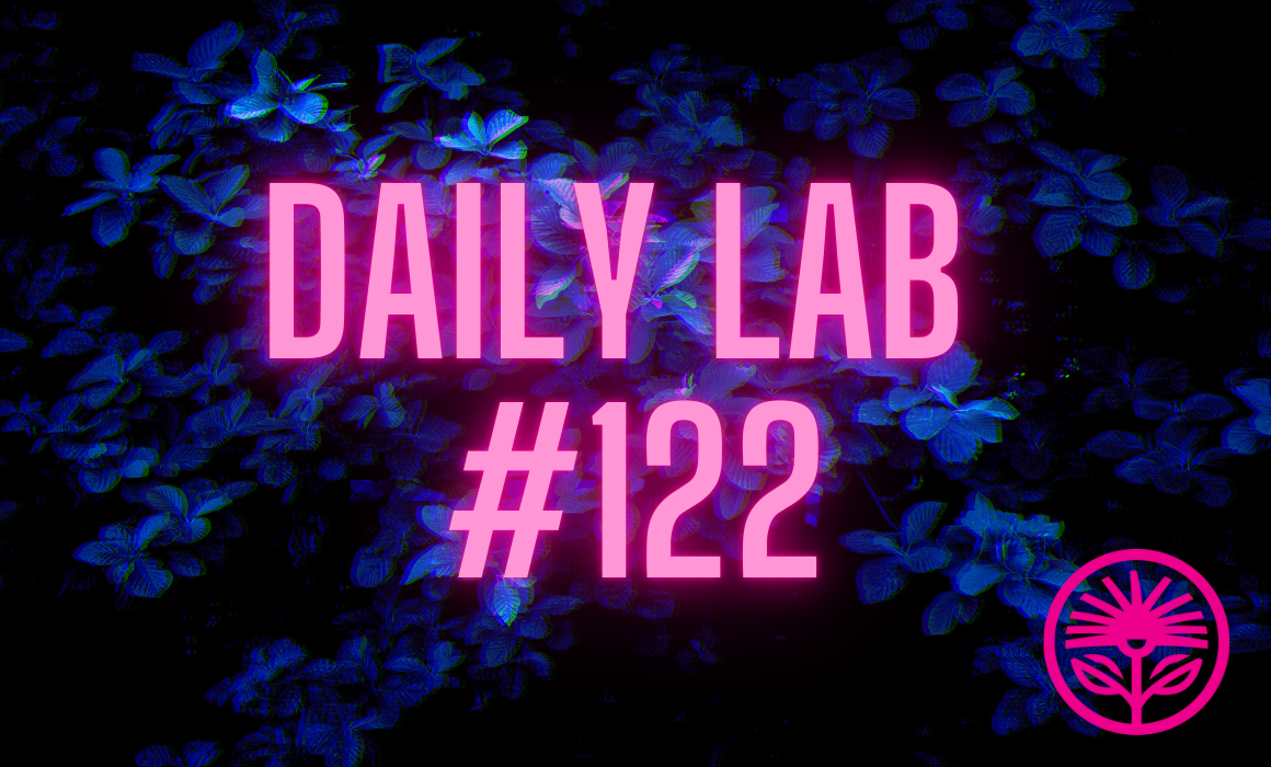 Daily Lab: The folly of fame