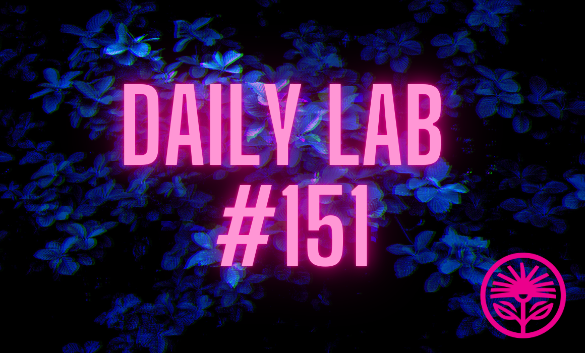 Daily Lab: Computer chess
