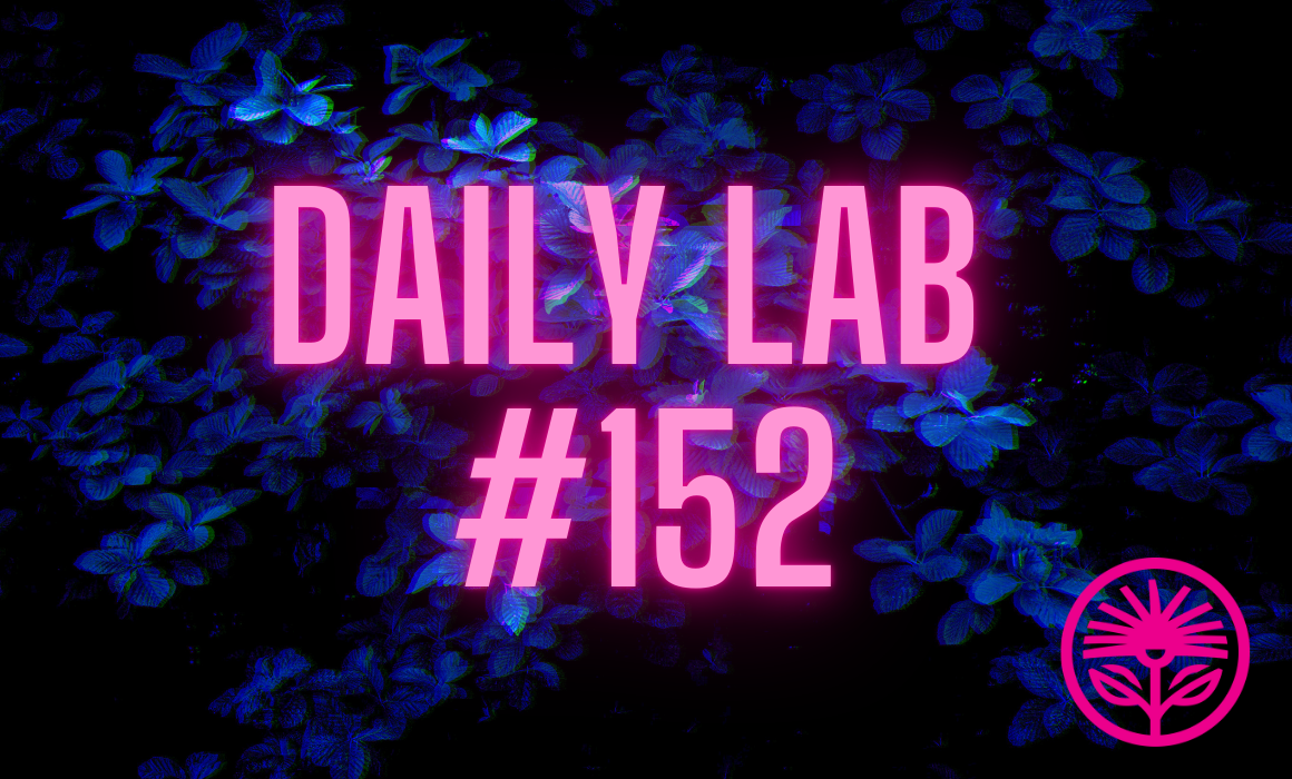 Daily Lab: You’re already marketing