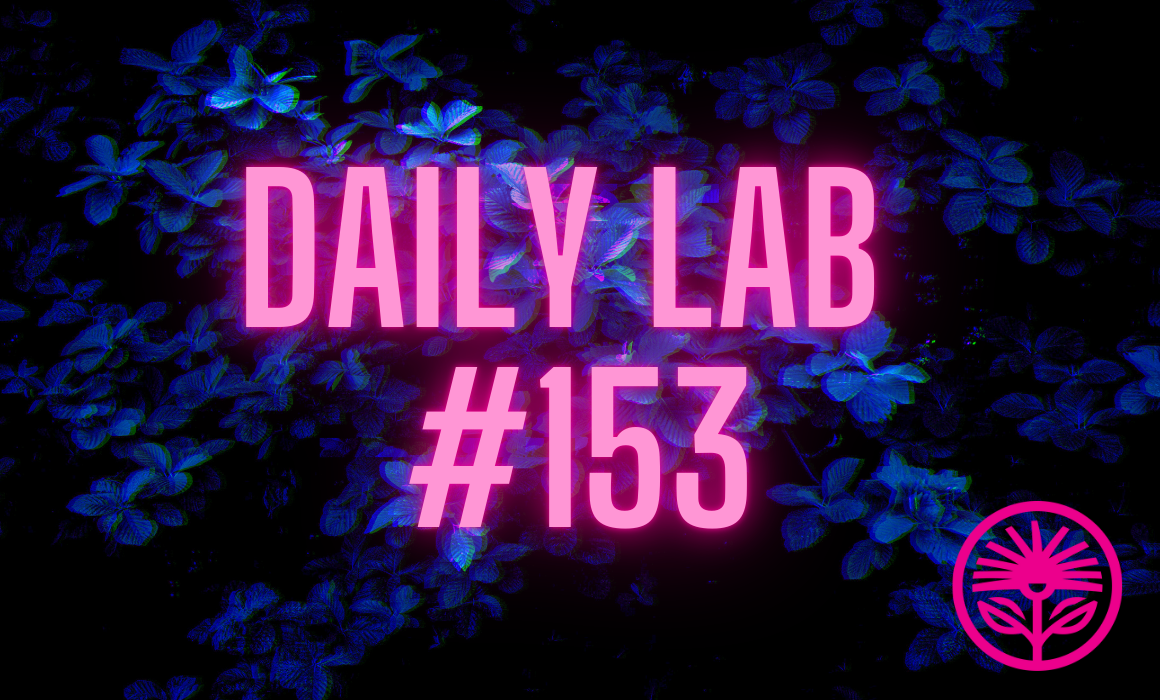 Daily Lab: Their words, not yours
