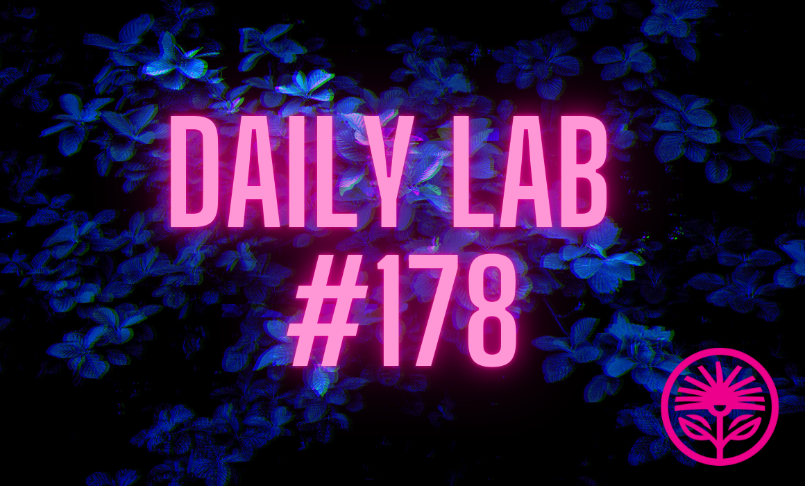 Kelford Labs Daily: Nothing to stick to