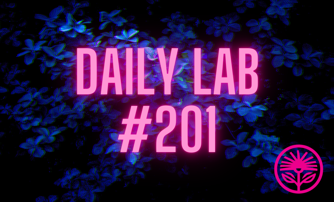 Kelford Labs Daily: Do Less with More