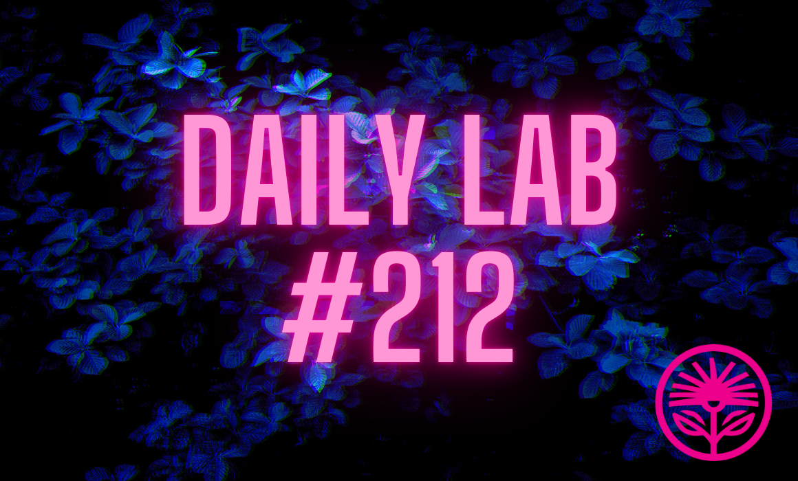 Kelford Labs Daily: The big things you don’t do