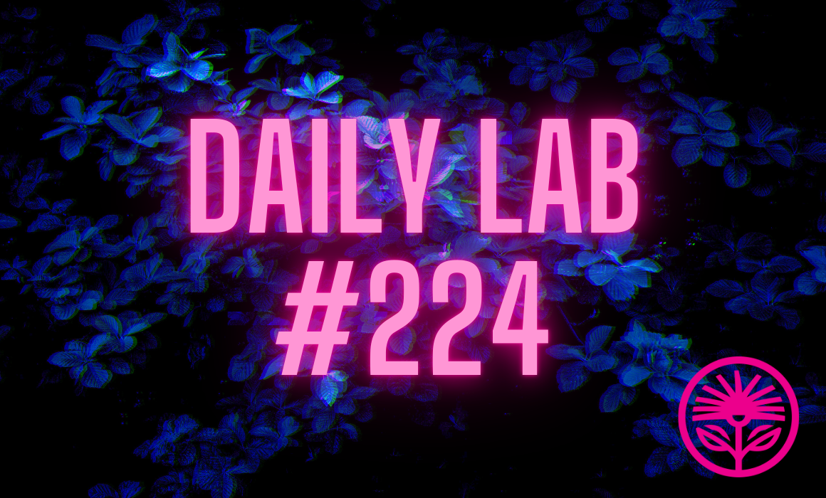 Kelford Labs Daily: What to focus on