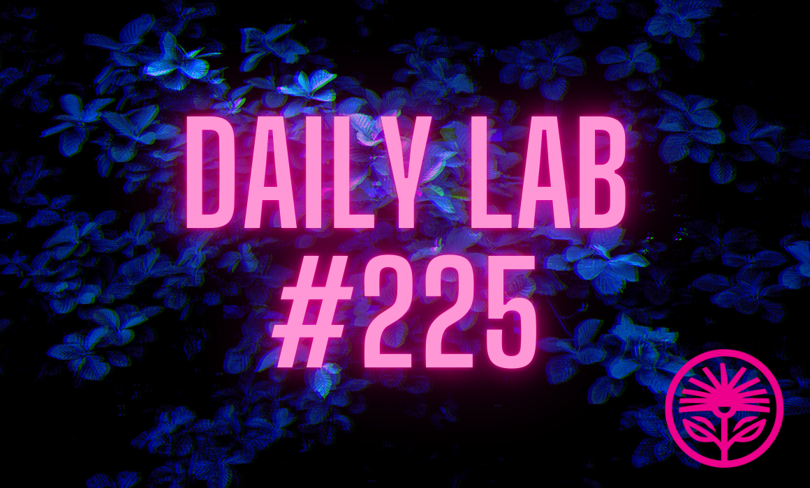 Kelford Labs Daily: Where do you start?
