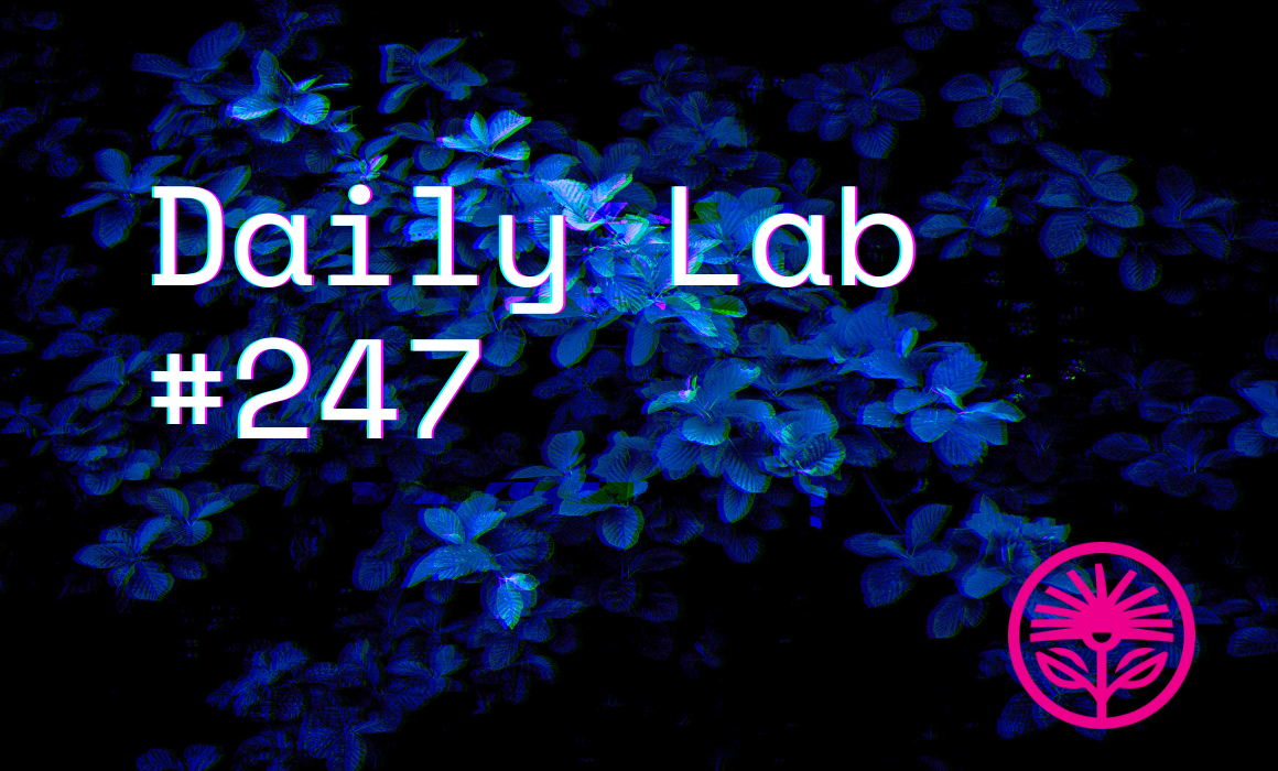 Kelford Labs Daily: Reassuring, not disempowering