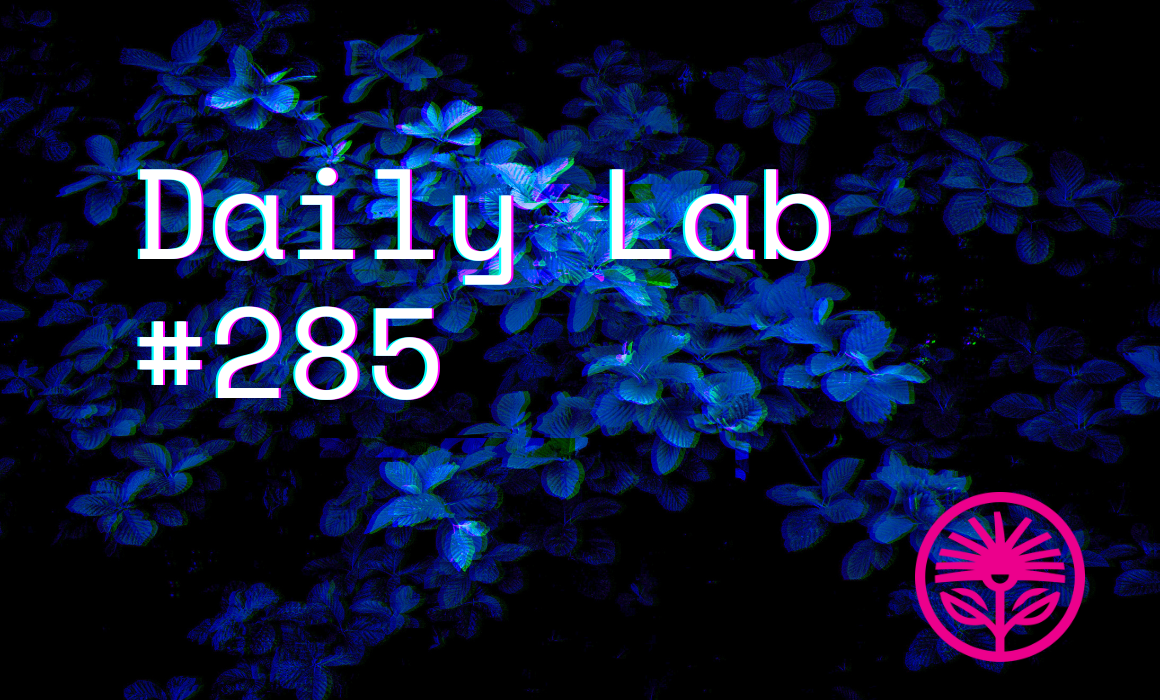 As little as possible, as long as possible — Kelford Labs Daily