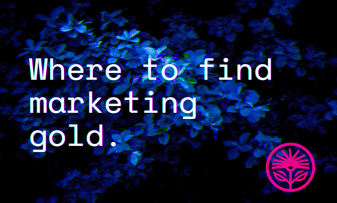 Where to find marketing gold — Kelford Labs Weekly