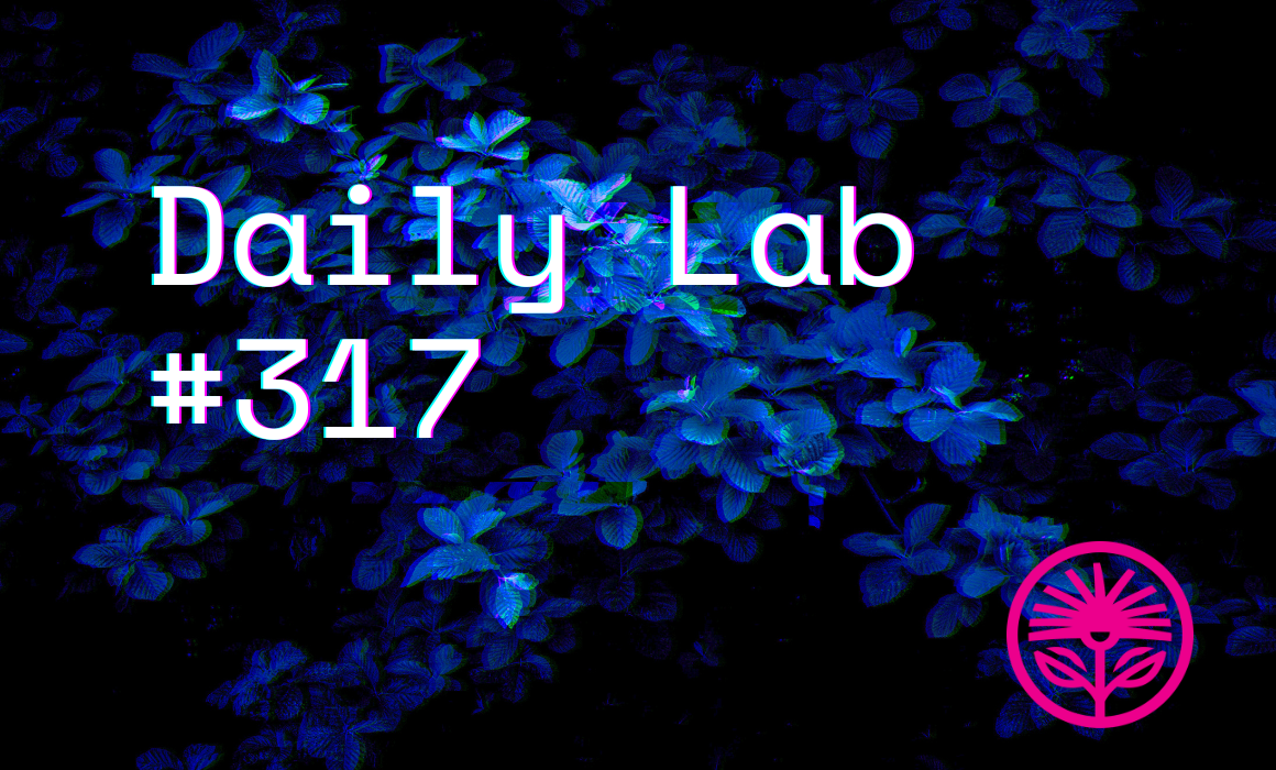 What did you expect to happen? — Kelford Labs Daily