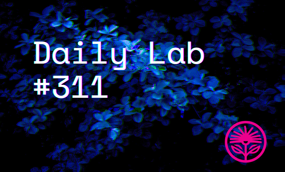 Safe or interesting? — Kelford Labs Daily