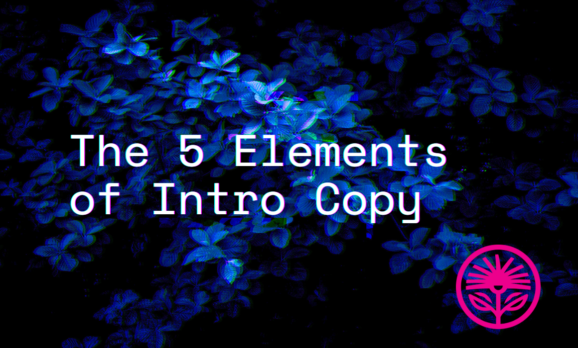 The 5 Elements of Intro Copy — Kelford Labs Weekly