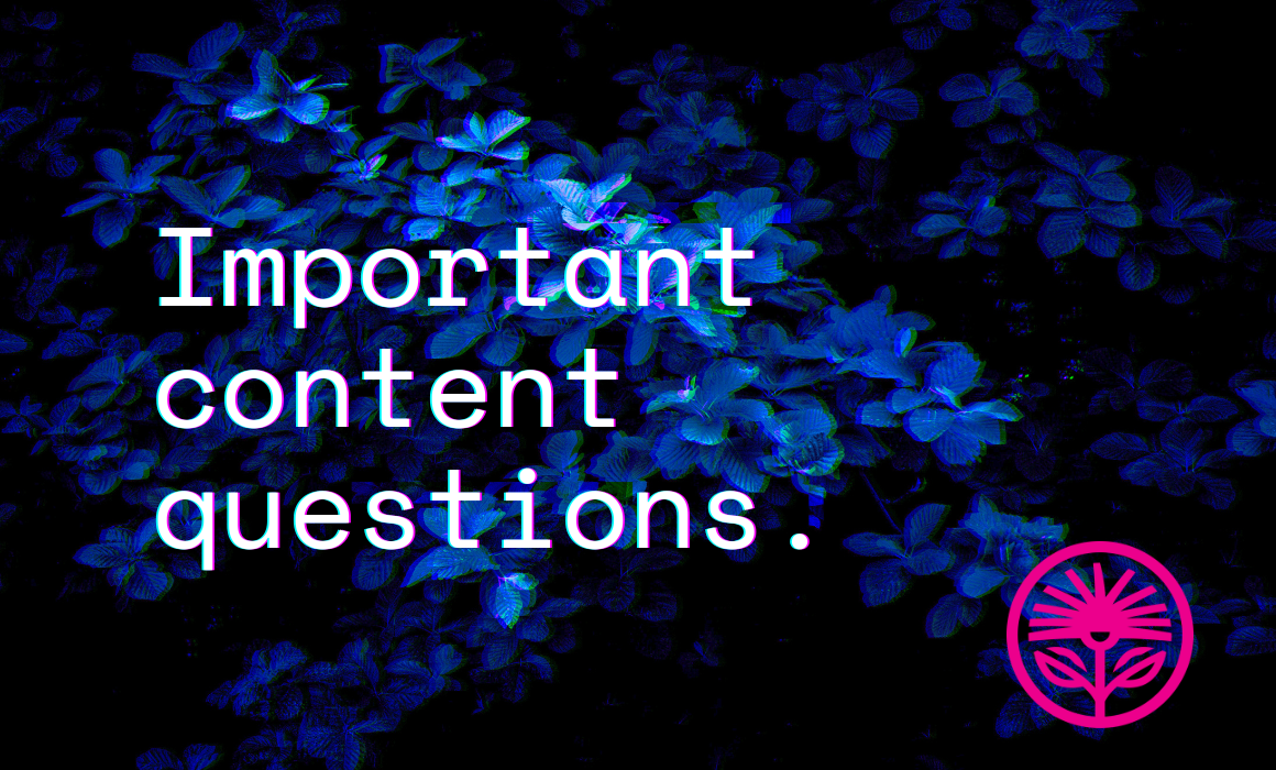 The most important content questions — Kelford Labs Weekly