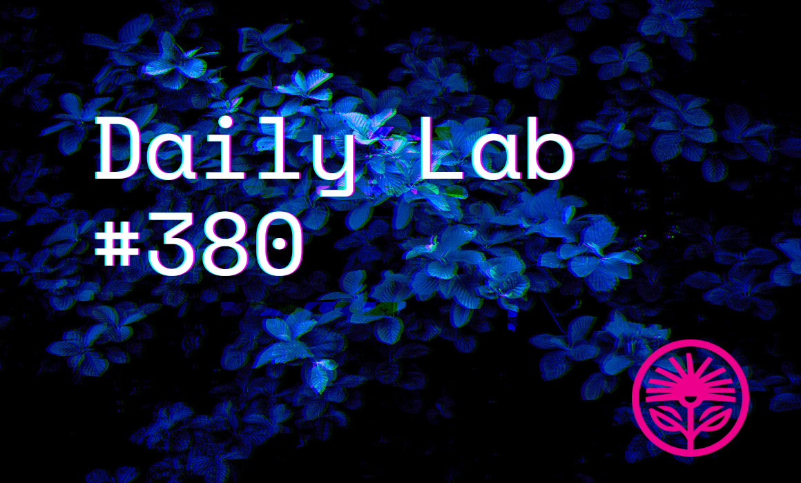 Patience is bitter — Kelford Labs Daily