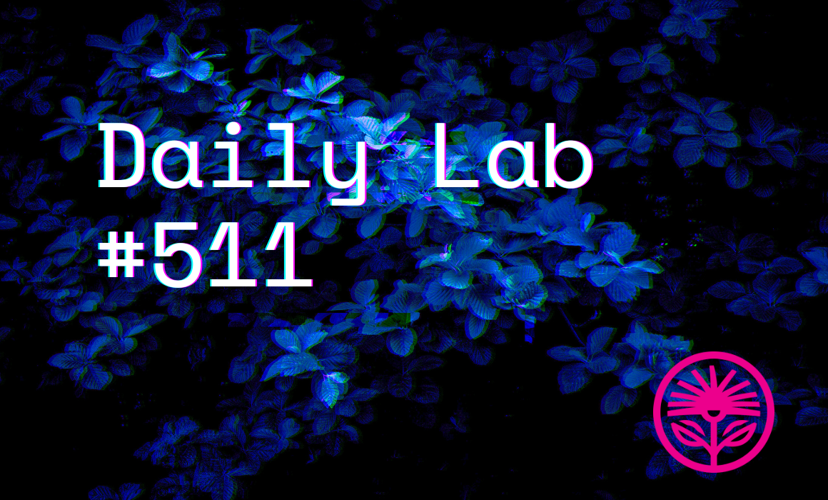 The scope of our ambition — Kelford Labs Daily