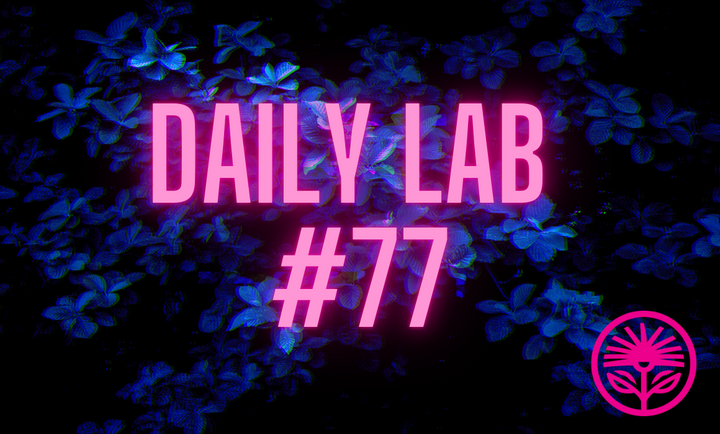 Daily Lab: How to measure success