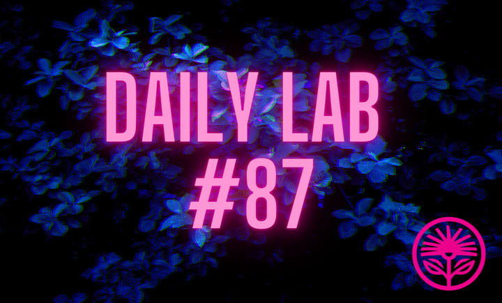 Daily Lab: No Blank Pages