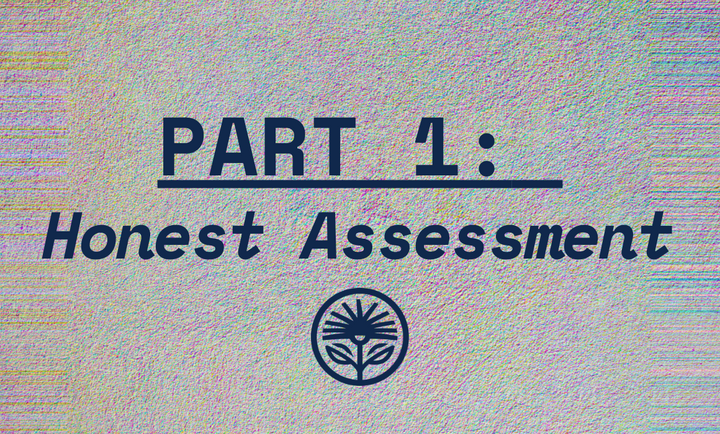 Zero Plan Part 1: Honest Assessment