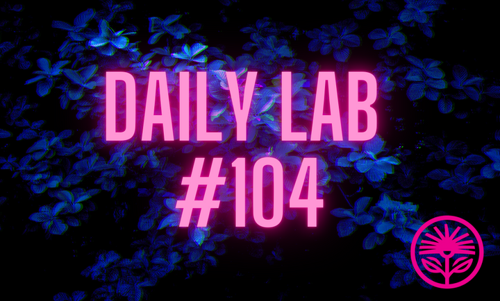 Daily Lab: How to know what you want