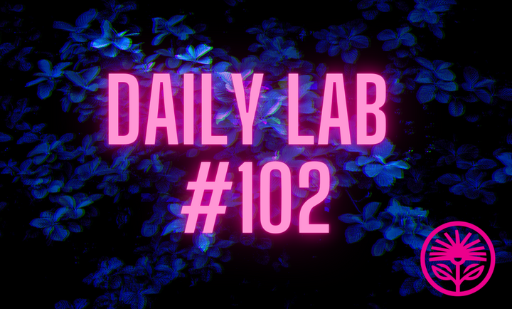 Daily Lab: The illusion of transparency