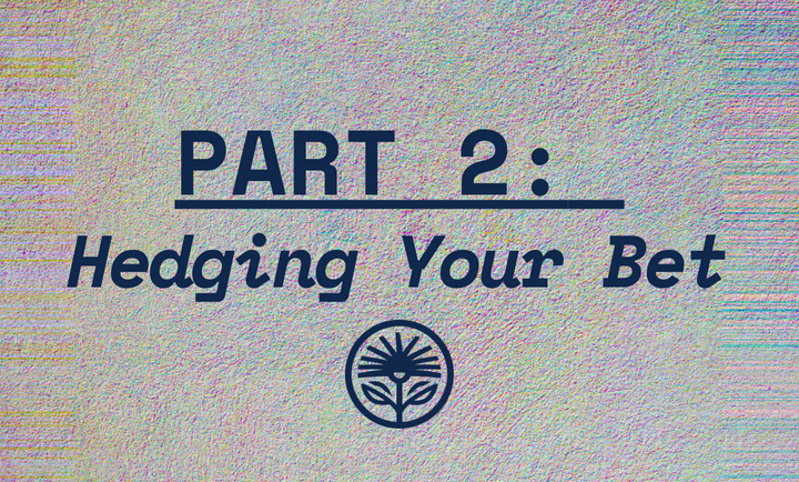 Zero Plan Part 2: Hedging