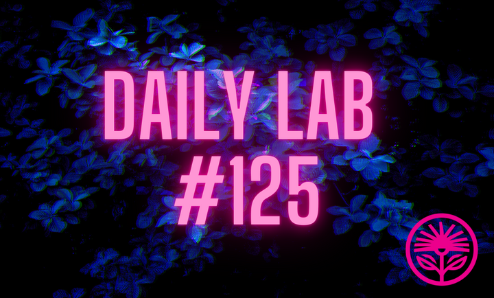 Daily Lab: See technology for yourself