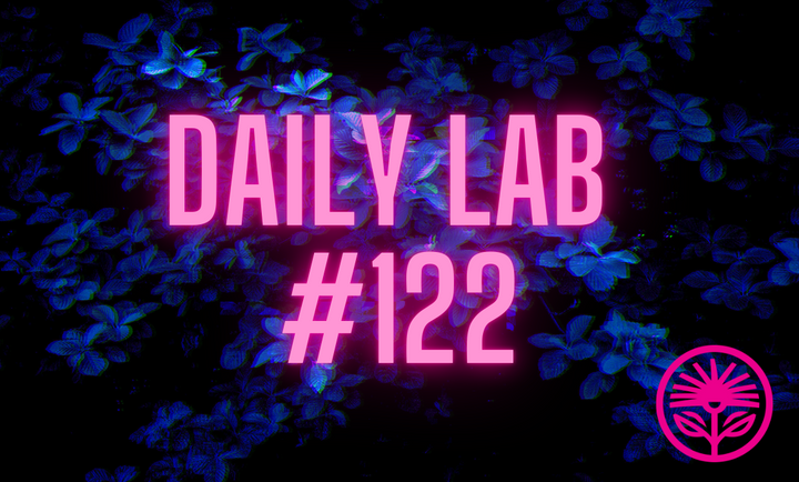 Daily Lab: The folly of fame