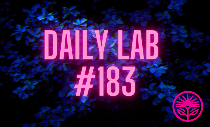 Kelford Labs Daily: “The best of what other people have figured out.”