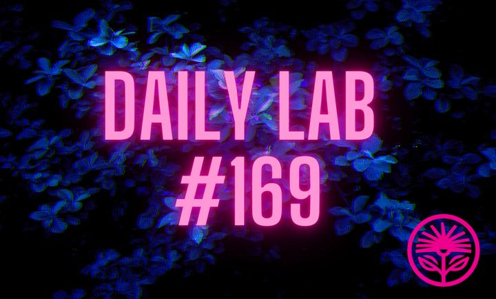 Kelford Labs Daily: Get better not bigger