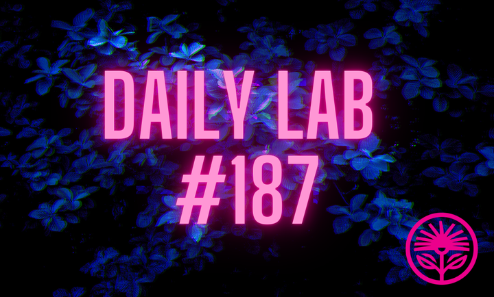 Kelford Labs Daily: Simple, direct, and real