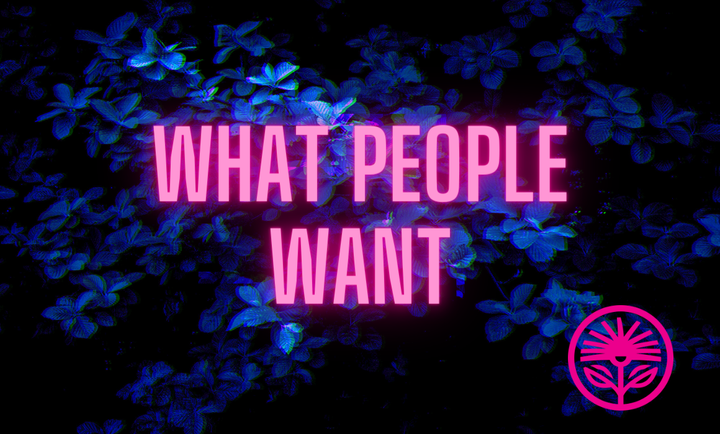 Kelford Labs Weekly: What People Want