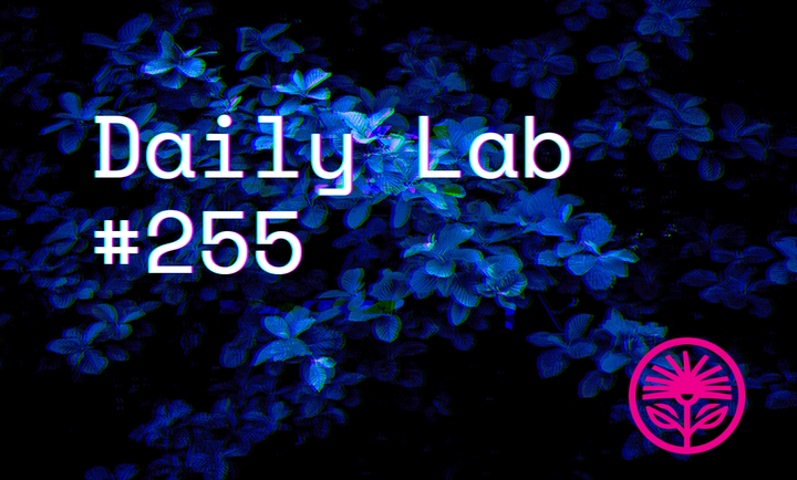 Kelford Labs Daily: The value of less