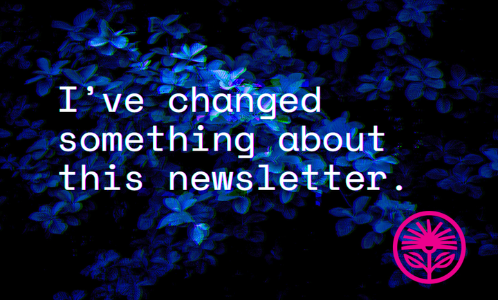 I’ve changed something about this newsletter — Kelford Labs Weekly