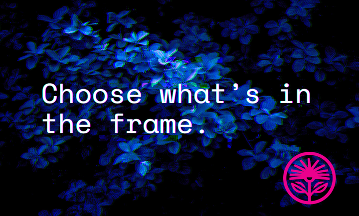 Choose what’s in the frame — Kelford Labs Weekly